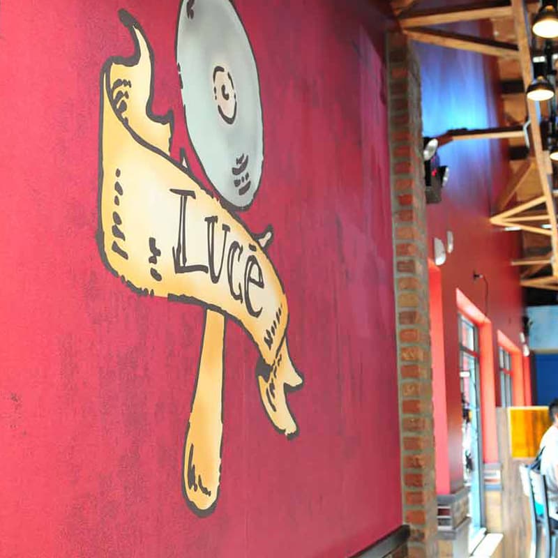 Luce_HopkinsInt2_800x800